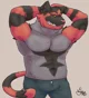 Friend Incineroar