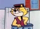 Don Gato