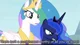 Celestia -Luna-