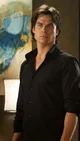 Damon Salvatore 