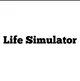 Life Simulator
