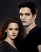 Twilight Saga