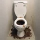 Toilet with diarrhea