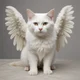 Angel Cat