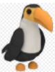 Toucan