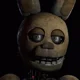 Spring Bonnie