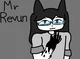 Mr Revun 