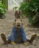Peter Rabbit 