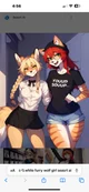 Lesbian furry couple