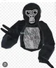 Gorilla16475