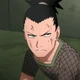 Shikamaru Nara