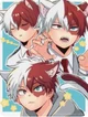 Shoto Todoroki cat