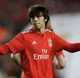 Joao Felix 