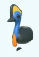 Casuary