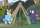Bluey-Camping 