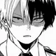 Shoto Todoroki
