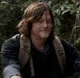 Daryl Dixon 