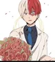 Shoto Todoroki 