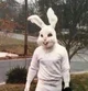 Easterbunny