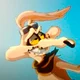 Wile E Coyote