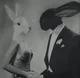 The Bunny Couple