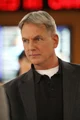 Leroy Jethro Gibbs