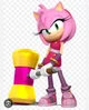 Amy rose