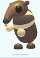 Anteater