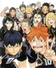 Haikyuu - BR