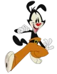 Yakko