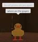Roblox GC 
