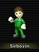 Mario Kart wii mii