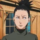 Shikamaru Nara