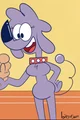 Janey poodle