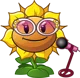 Sunflower singer