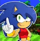 Sonica The Hedgehog 