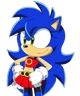 Sonica the Hedgehog