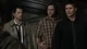Team Free Will
