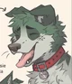 Izuku Midoriya Stray