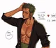 Zoro roronoa 