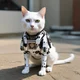 Cat robot
