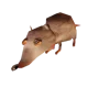 Rat