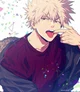 Katsuki Bakuchan