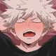 Bakugo bully 
