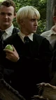 Draco malfoy