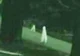 Fresno Nightcrawler 