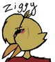 Ziggy