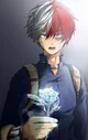 shoto todoroki 