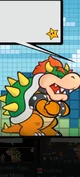 Bowser PM