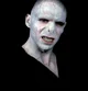 Dark Lord Voldemort